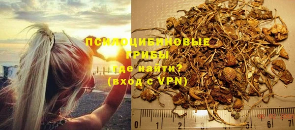 амф Ельня