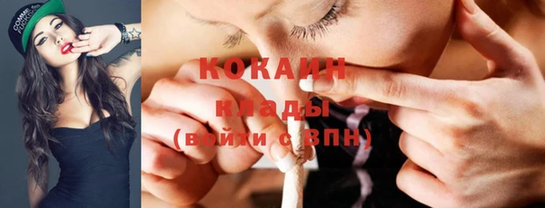 амф Ельня