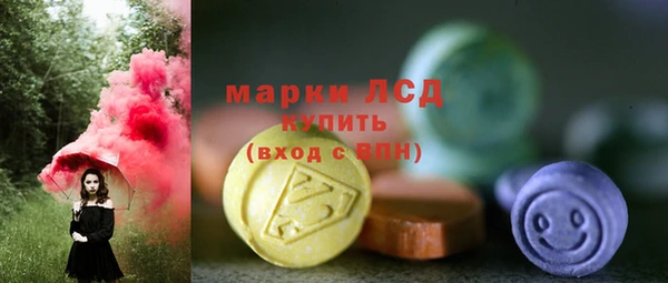 амф Ельня