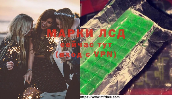 амф Ельня