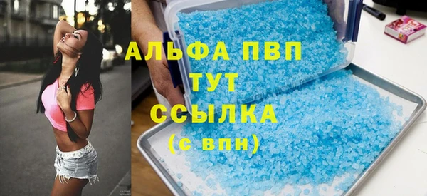 амф Ельня