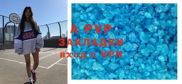 амф Ельня