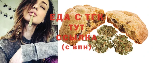 амф Ельня