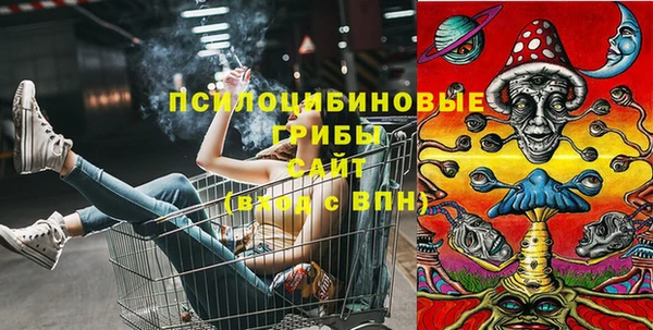 амф Ельня